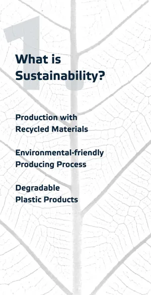 Qu'est-ce que la durabilité?